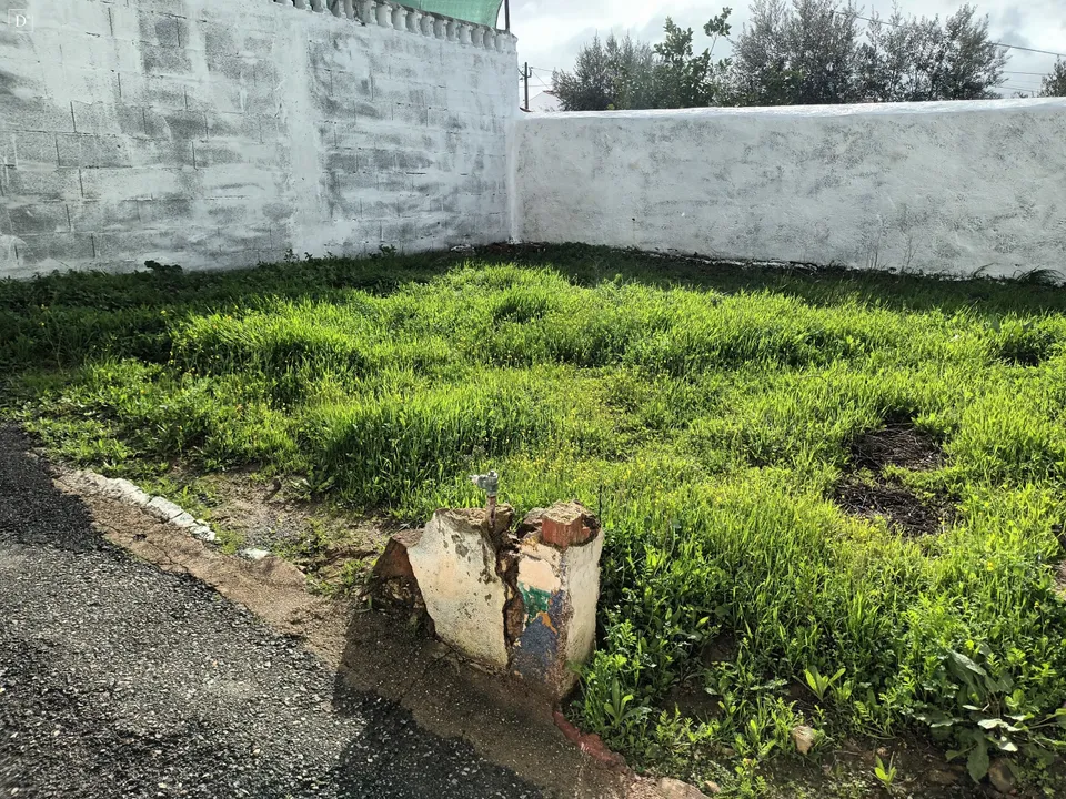 Helårsgrund i Almodovar, Beja - foto 3