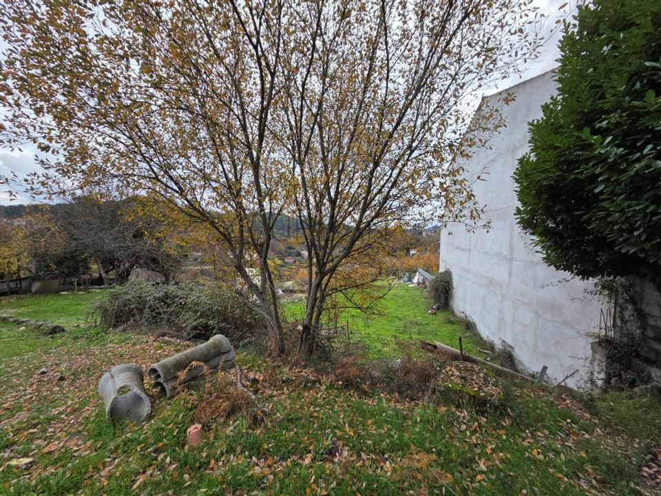 Helårsgrund i Castro Daire, Viseu - foto 3