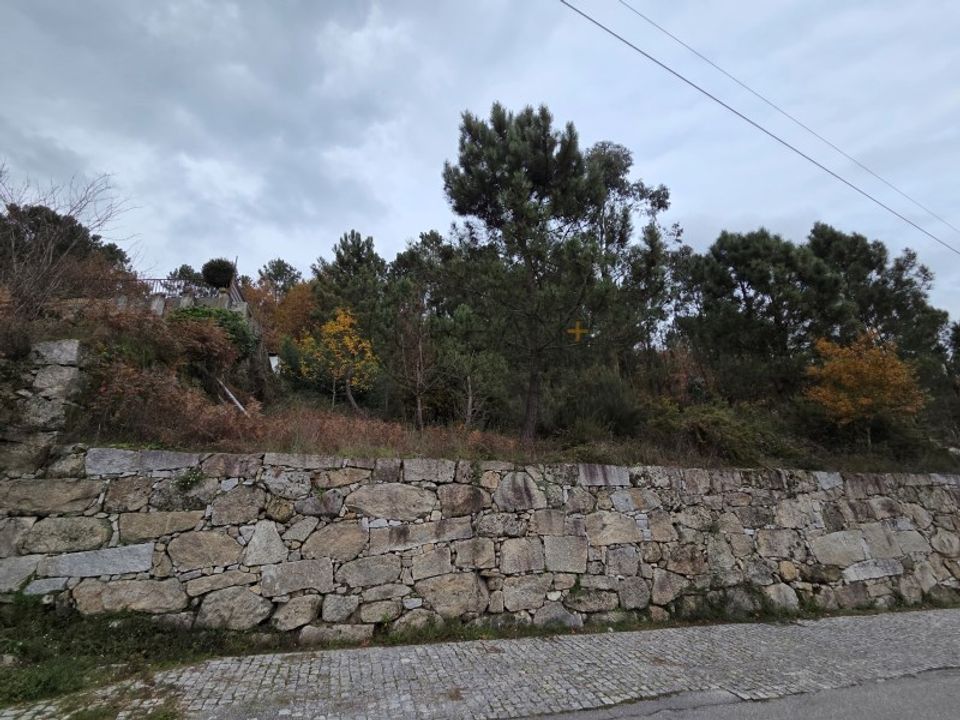 Helårsgrund i Castro Daire, Viseu - foto 2
