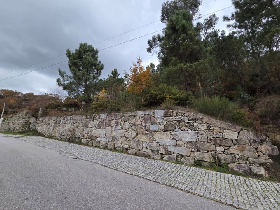 Helårsgrund i Castro Daire, Viseu - foto 4
