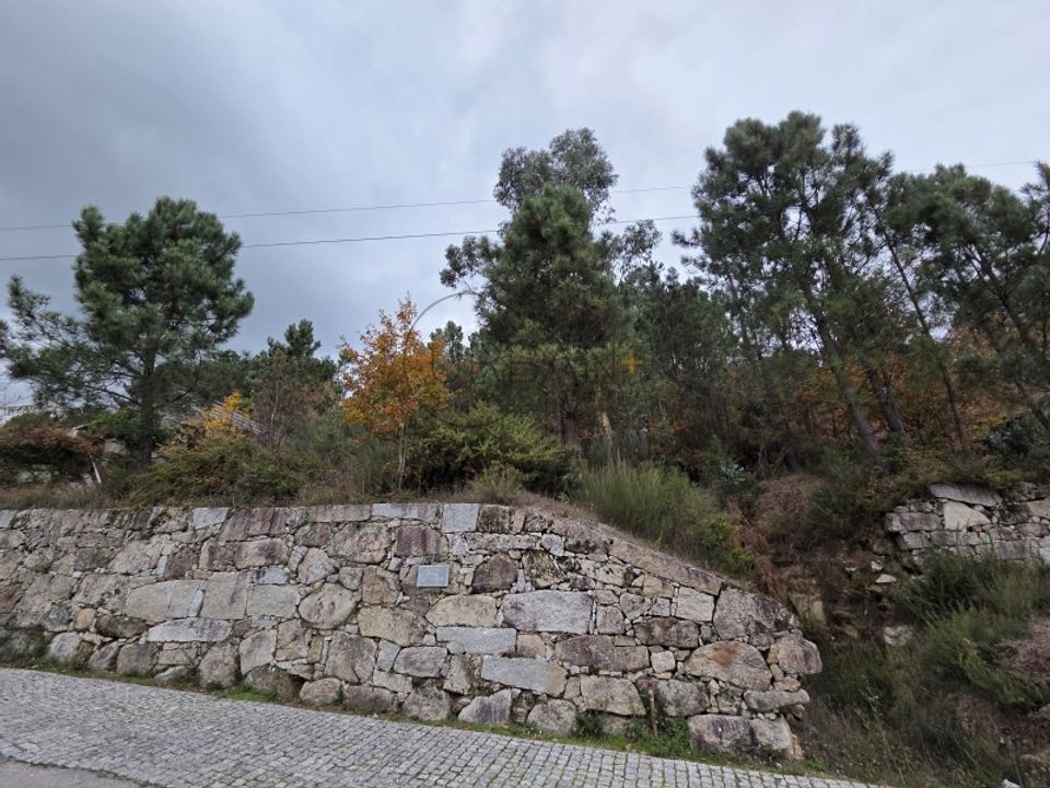 Helårsgrund i Castro Daire, Viseu - foto 5