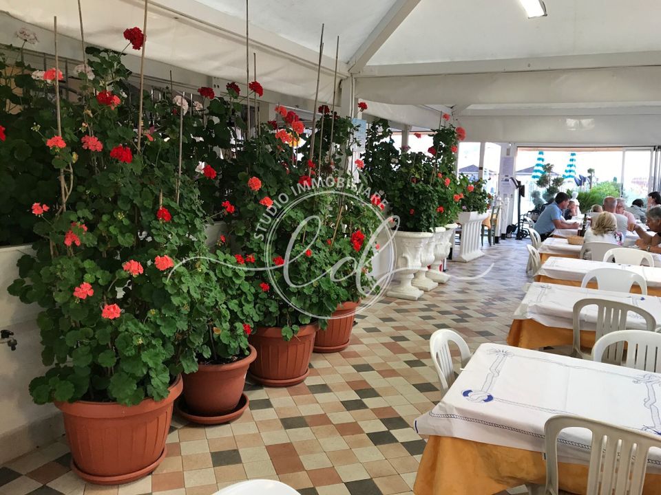 Erhvervsejendom i Camaiore, Lucca - foto 3
