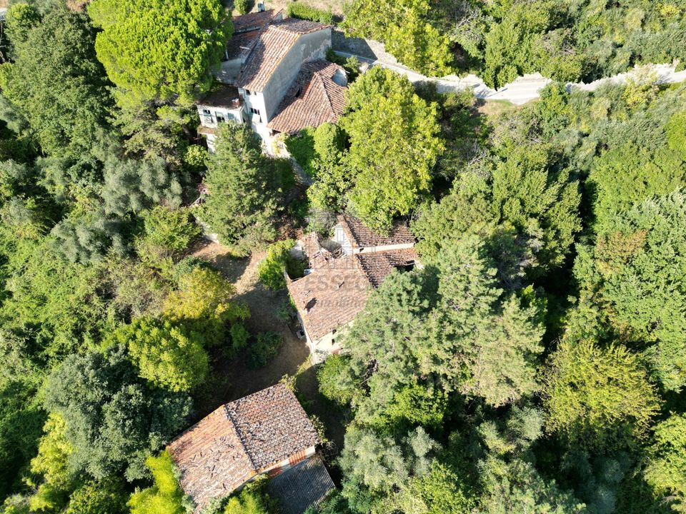 Villa i Lucca, Lucca - foto 5