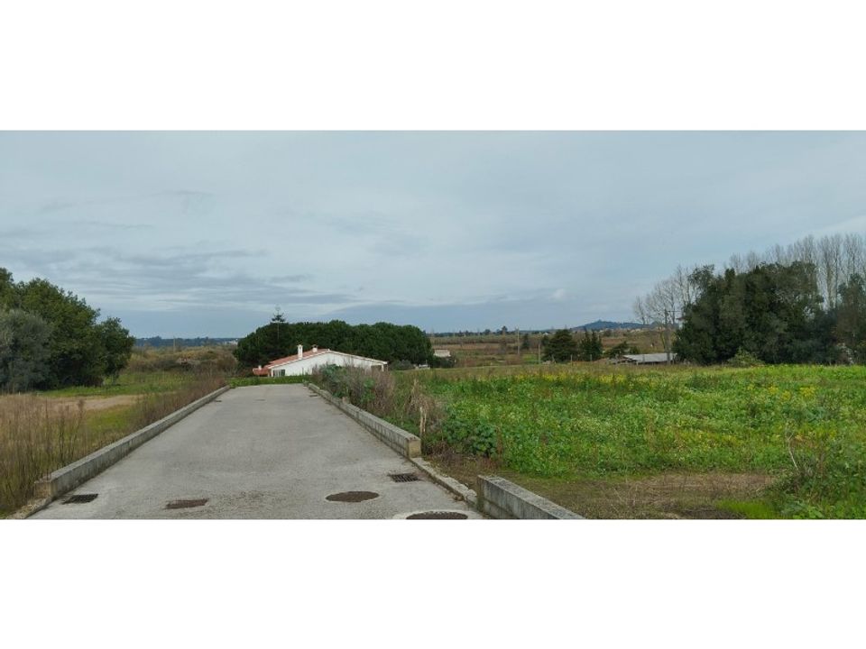 Tomt i Monte Real, Leiria - bilde 1