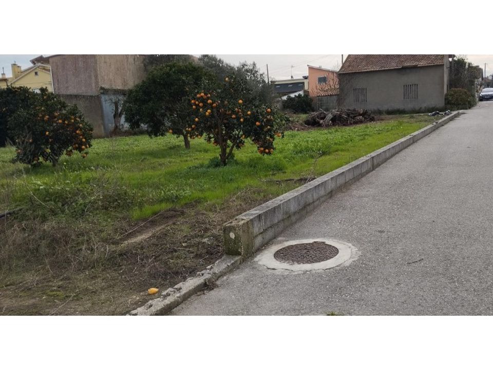 Tomt i Monte Real, Leiria - bilde 2