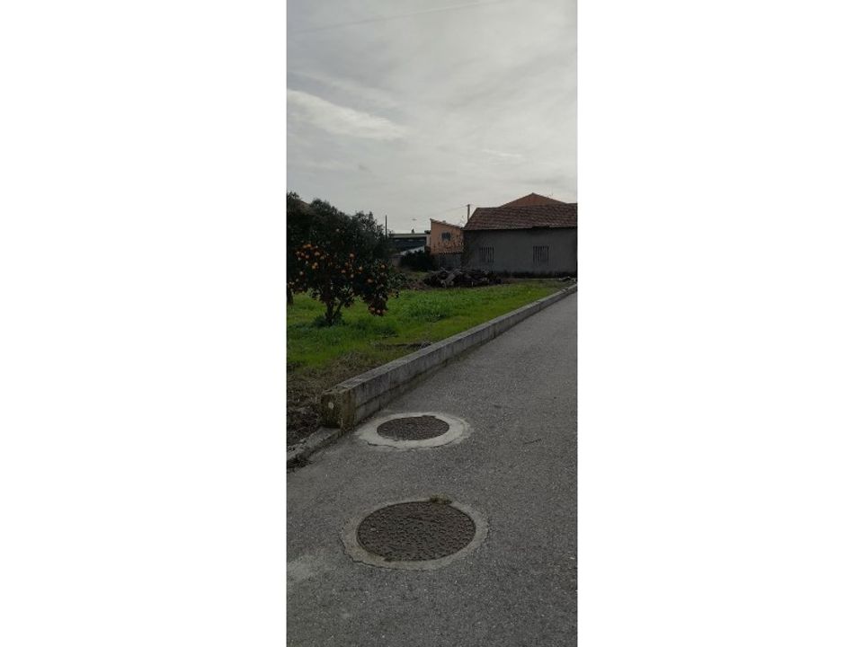 Tomt i Monte Real, Leiria - bilde 3