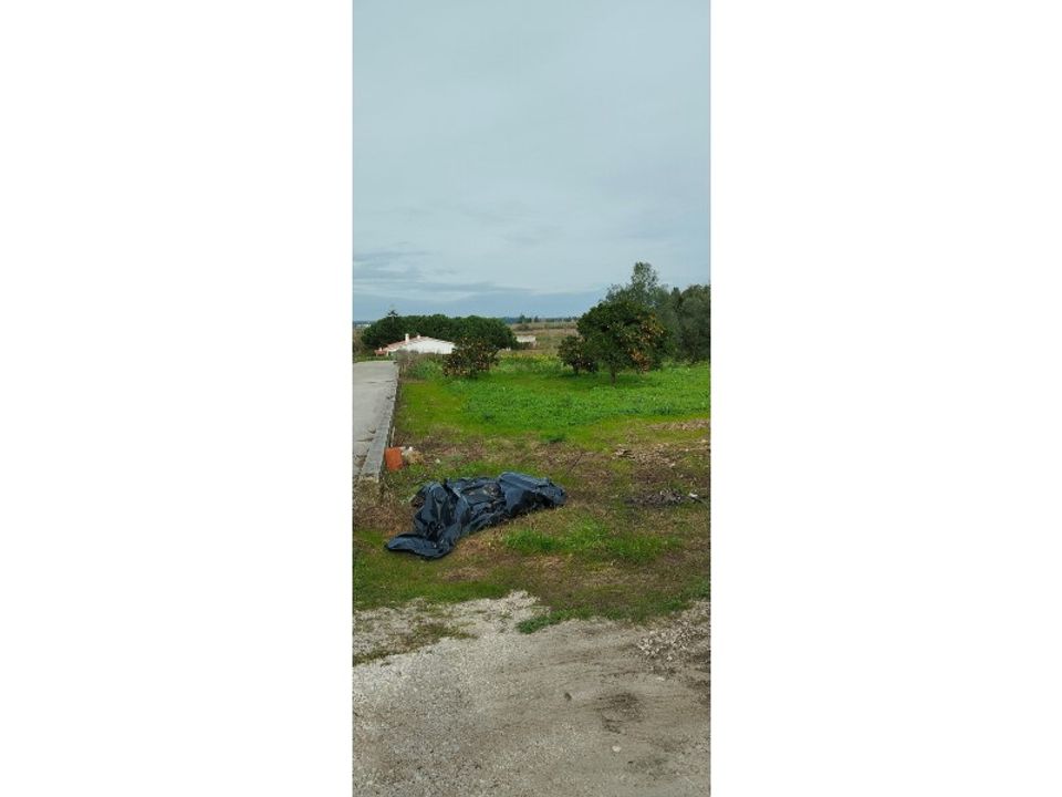 Tomt i Monte Real, Leiria - bilde 4