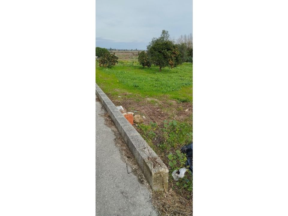 Tomt i Monte Real, Leiria - bilde 5