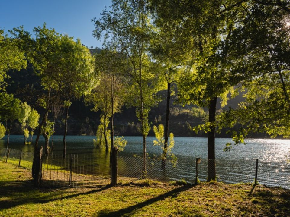 Villa i Celorico de Basto, Braga - foto 5