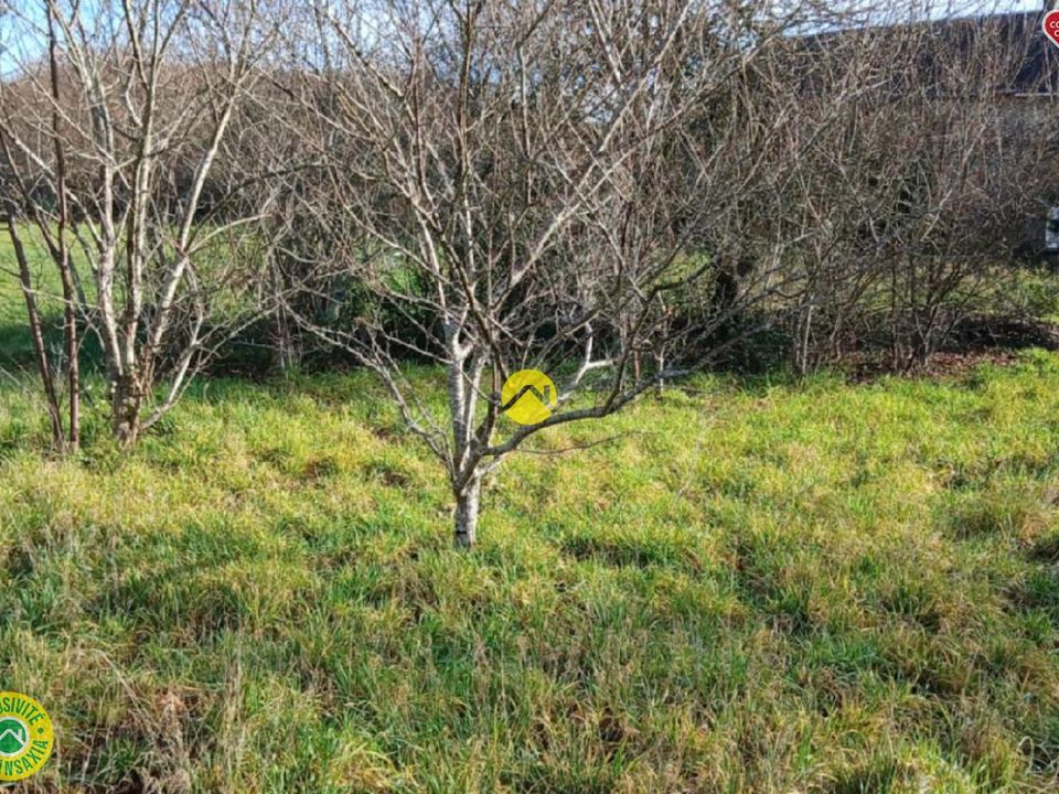 Landejendom i Ceyroux, Creuse - foto 2