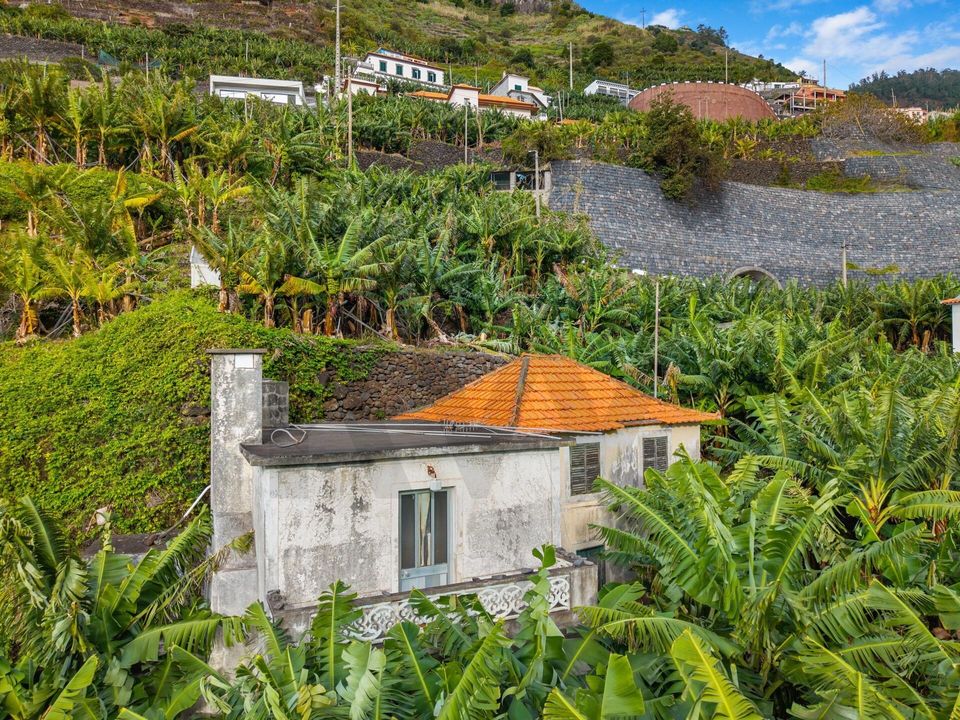 Helårsgrund i Ponta do Sol, Madeira - foto 3