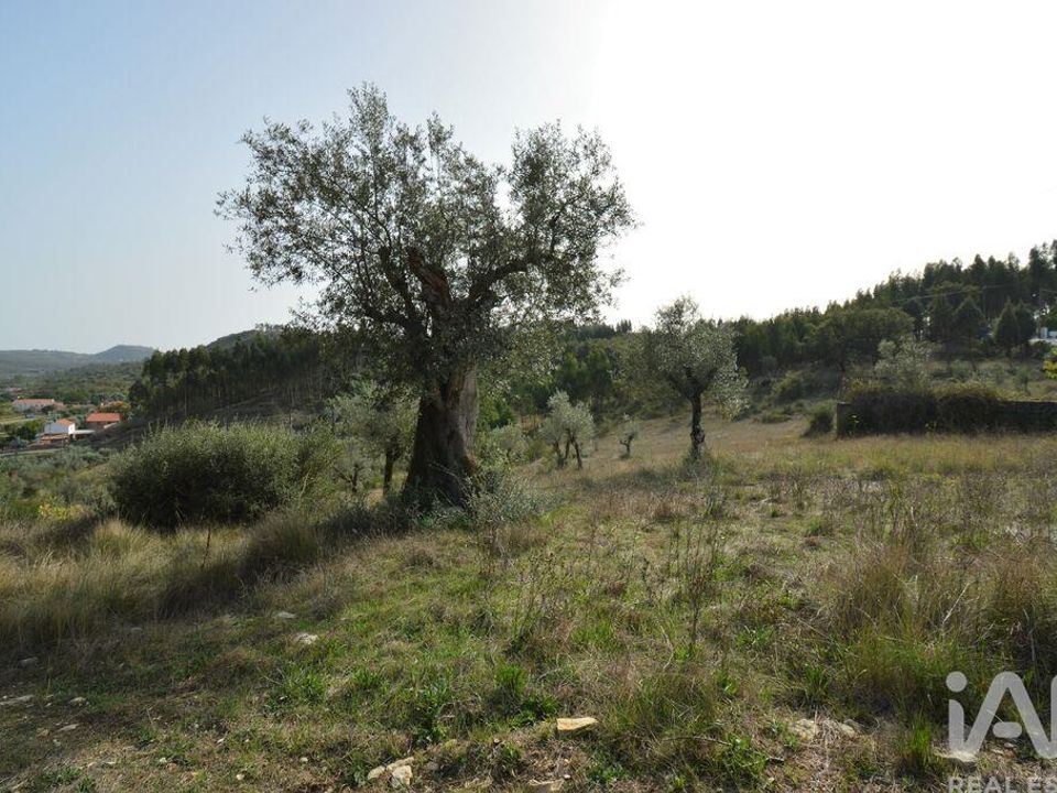 Helårsgrund i Ansiao, Leiria - foto 4
