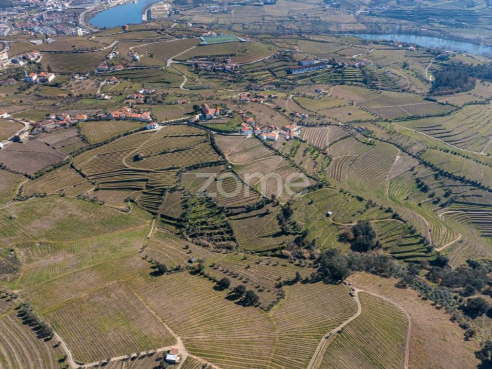 Helårsgrund i Fontelas, Vila Real - foto 5