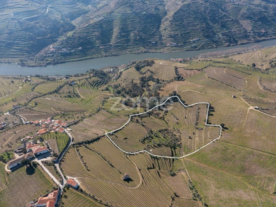 Helårsgrund i Fontelas, Vila Real - foto 1