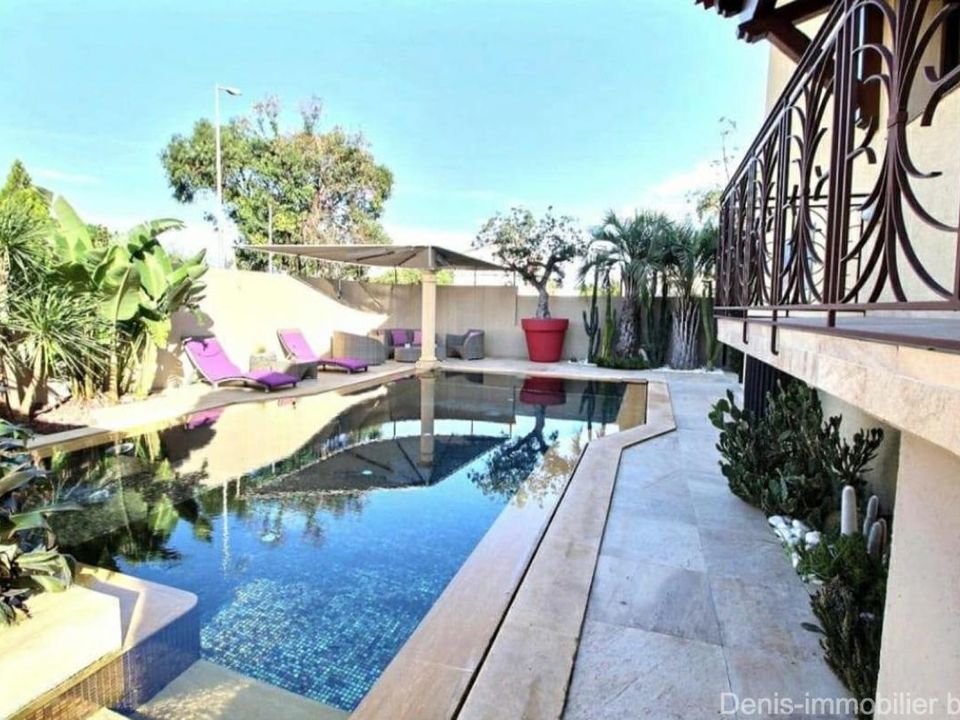 Villa i Saint-Cyprien, Pyrenees-Orientales - foto 1