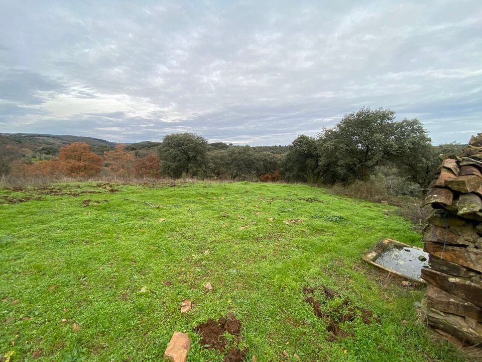 Grond in Macedo de Cavaleiros, Braganca - foto 1