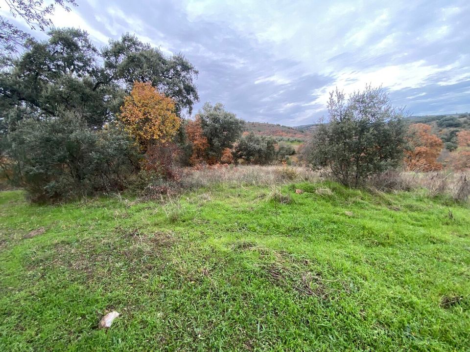 Grond in Macedo de Cavaleiros, Braganca - foto 2