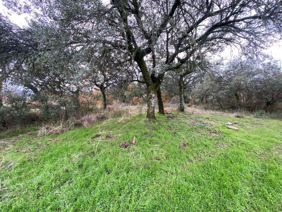Grond in Macedo de Cavaleiros, Braganca - foto 3