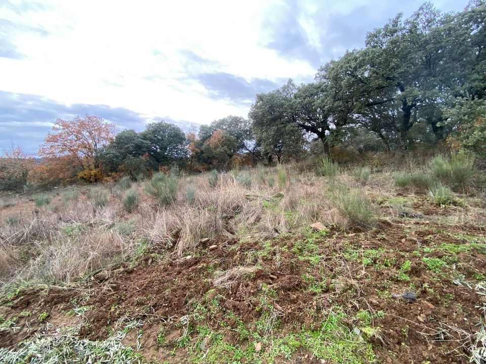 Grond in Macedo de Cavaleiros, Braganca - foto 4