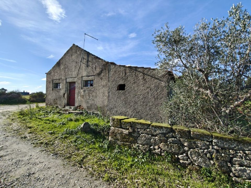 Farm i Vale de Prazeres e Mata da Rainha, Castelo Branco - foto 5