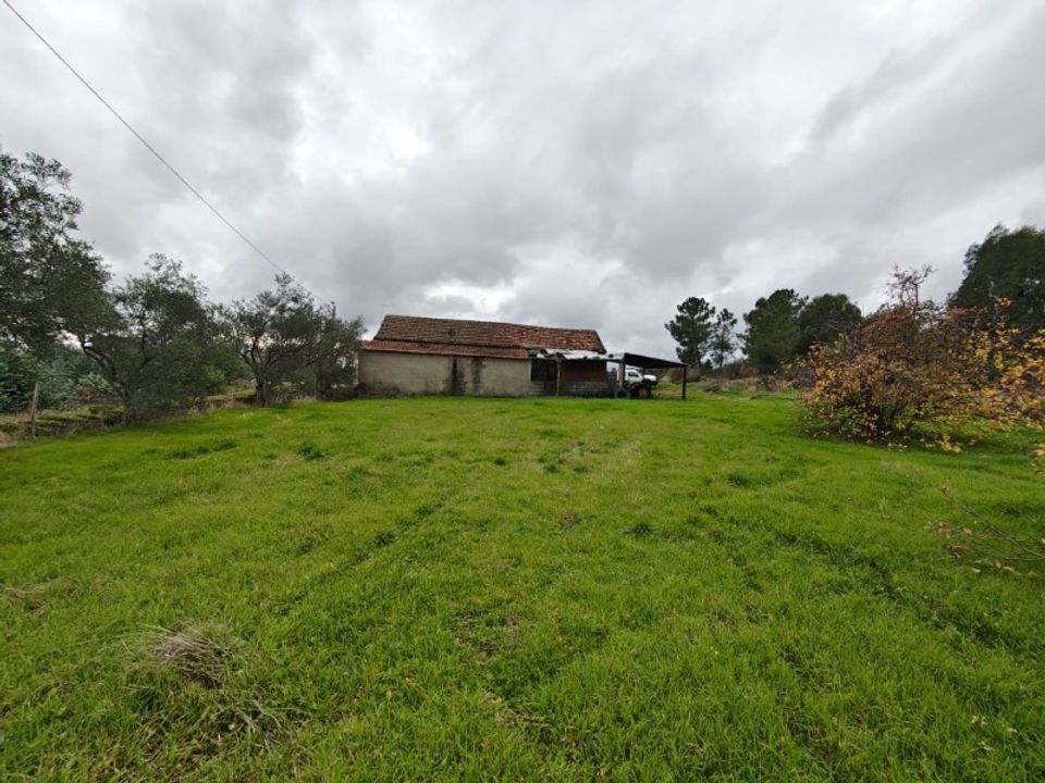Farm i Vale de Prazeres e Mata da Rainha, Castelo Branco - foto 3