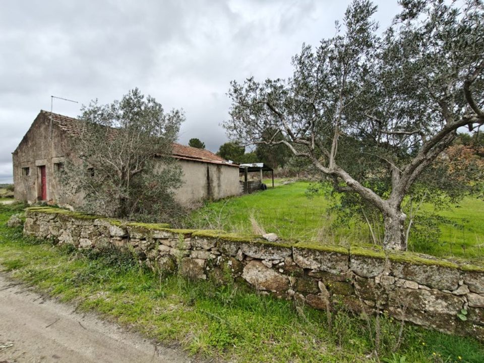 Farm i Vale de Prazeres e Mata da Rainha, Castelo Branco - foto 2
