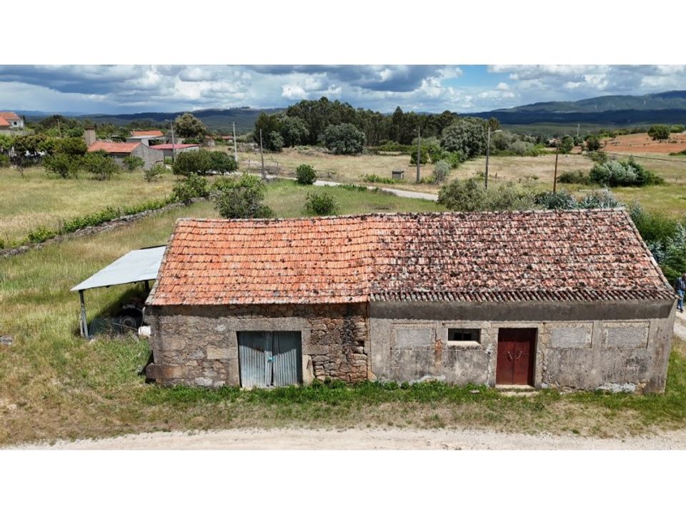 Farm i Vale de Prazeres e Mata da Rainha, Castelo Branco - foto 4
