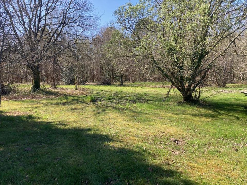 Helårsgrund i Salles, Gironde - foto 1