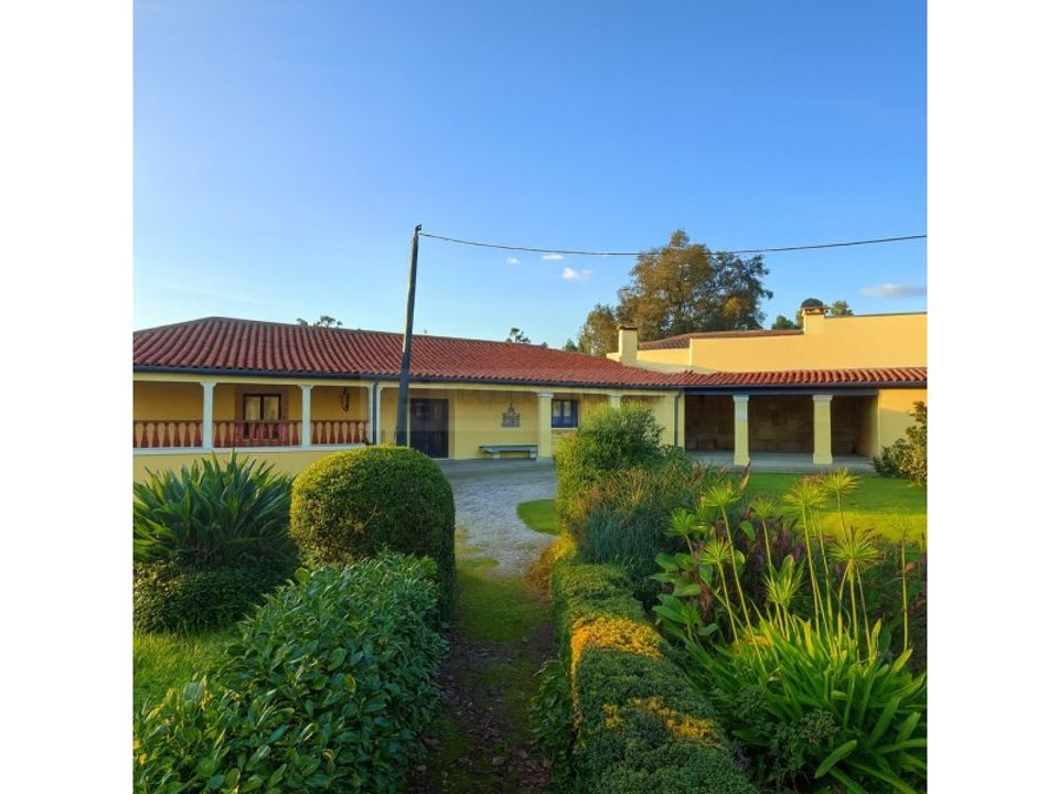 Farm i Braga, Braga - foto 1