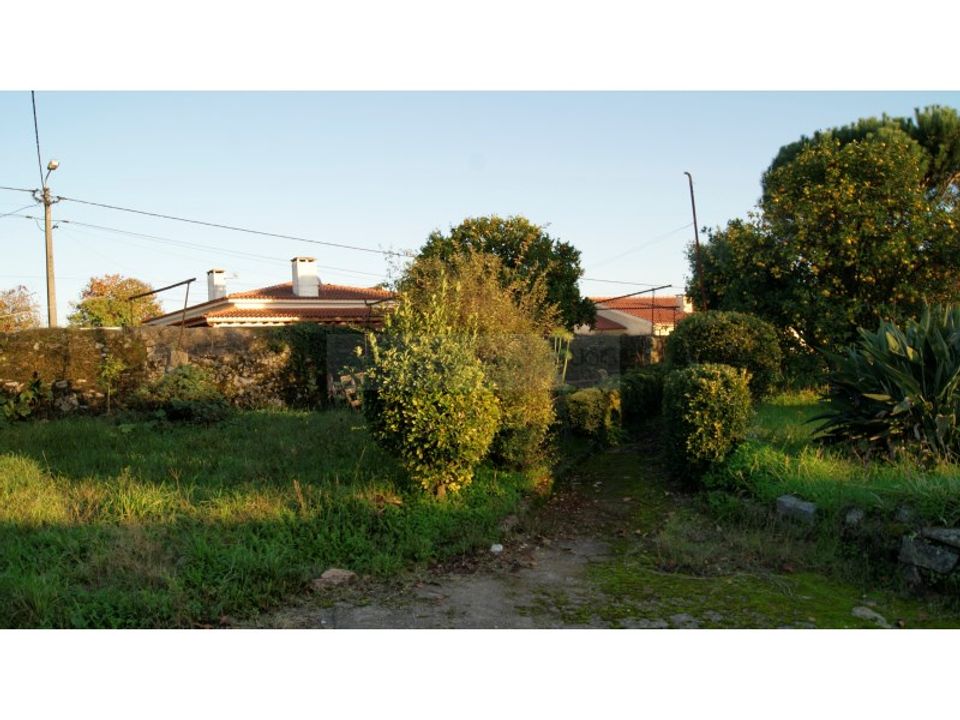 Farm i Braga, Braga - foto 3