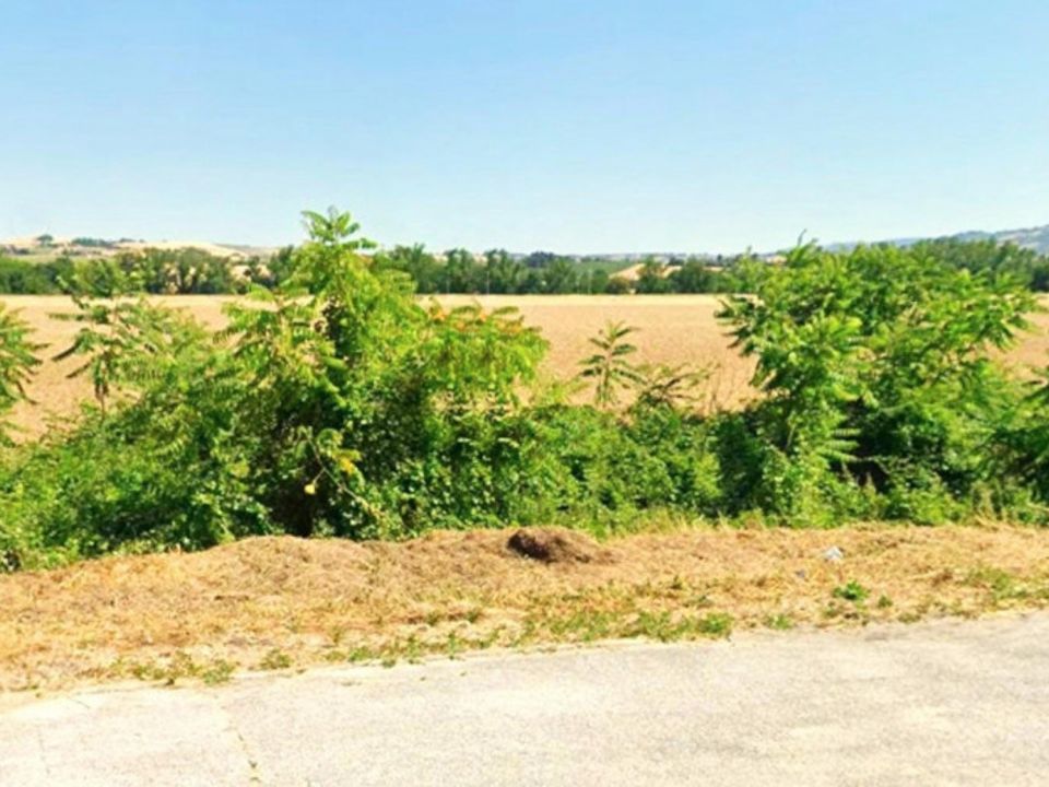 Helårsgrund i Monte Roberto, Ancona - foto 3