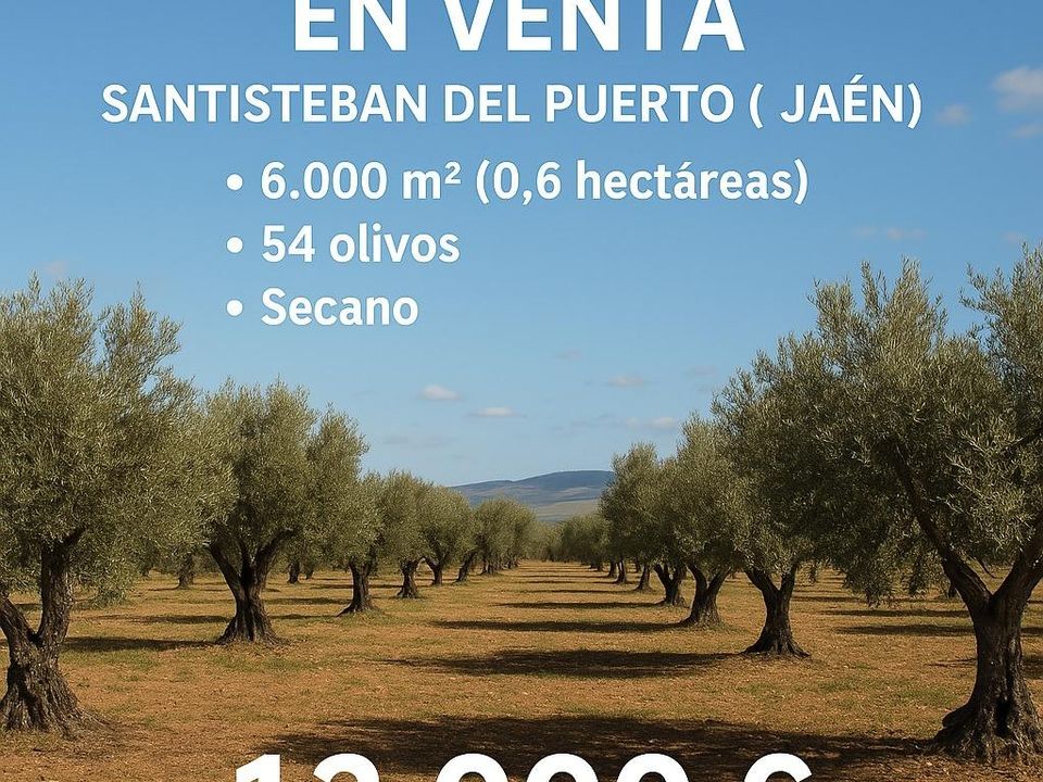 Helårsgrund i Santisteban Del Puerto, Jaen - foto 4