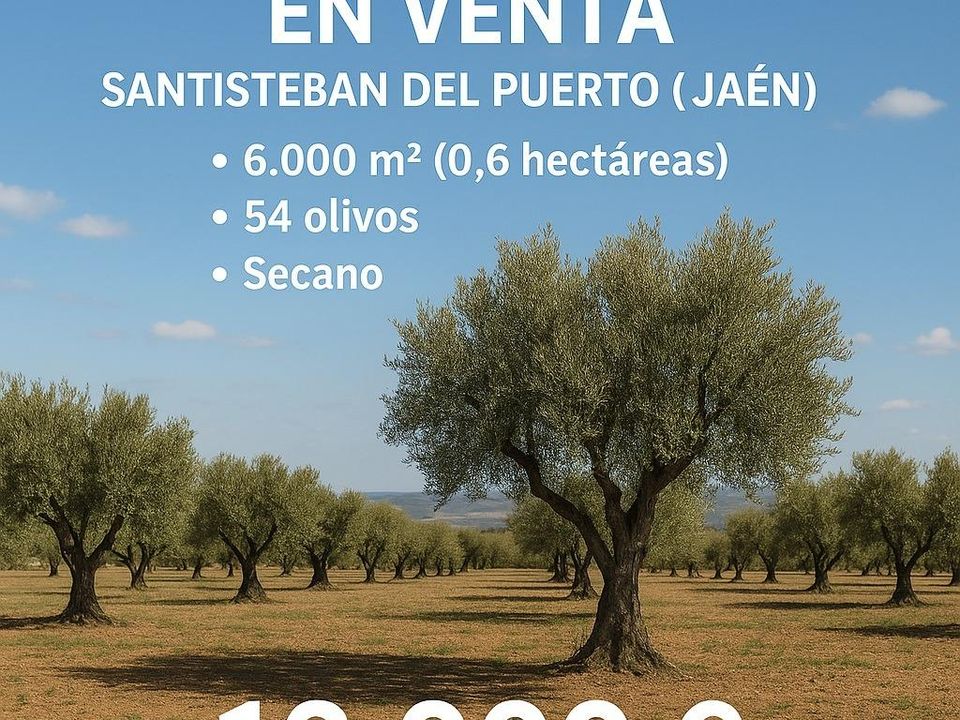 Helårsgrund i Santisteban Del Puerto, Jaen - foto 5
