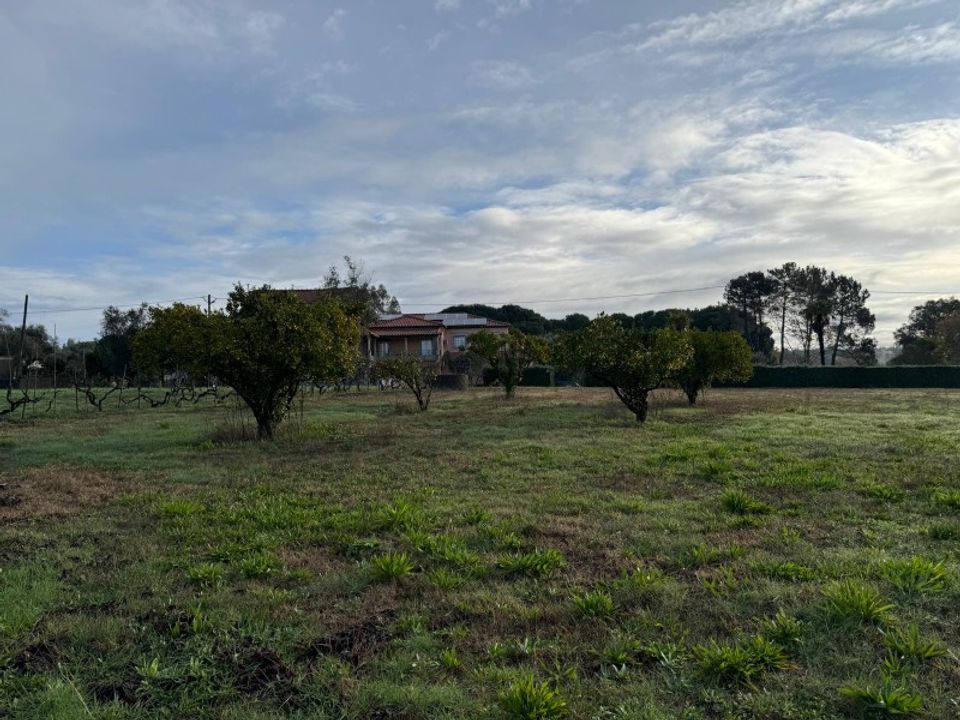 Tomt i Santa Comba Dao, Viseu - bilde 2