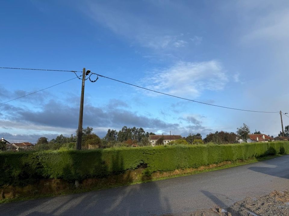 Tomt i Santa Comba Dao, Viseu - bilde 4
