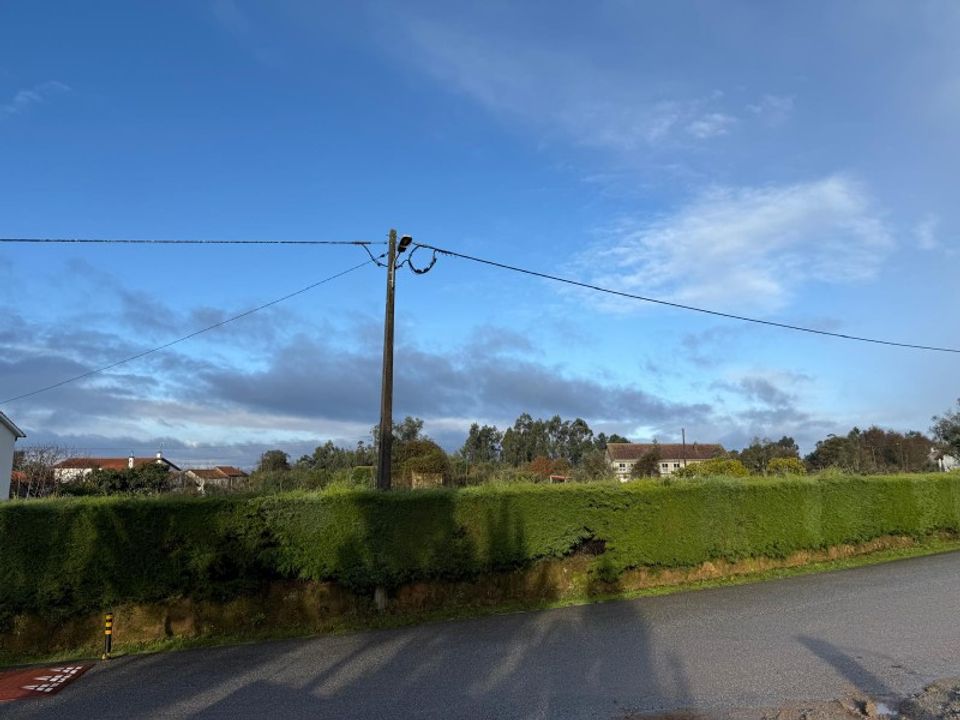 Tomt i Santa Comba Dao, Viseu - bilde 5