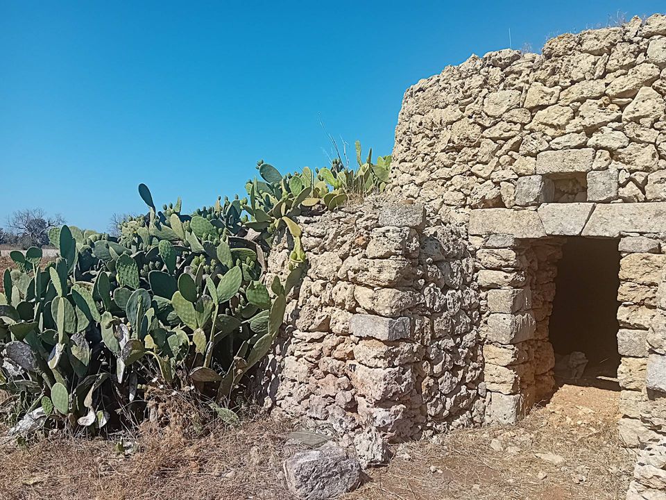 Helårsgrund i Alliste, Lecce - foto 3