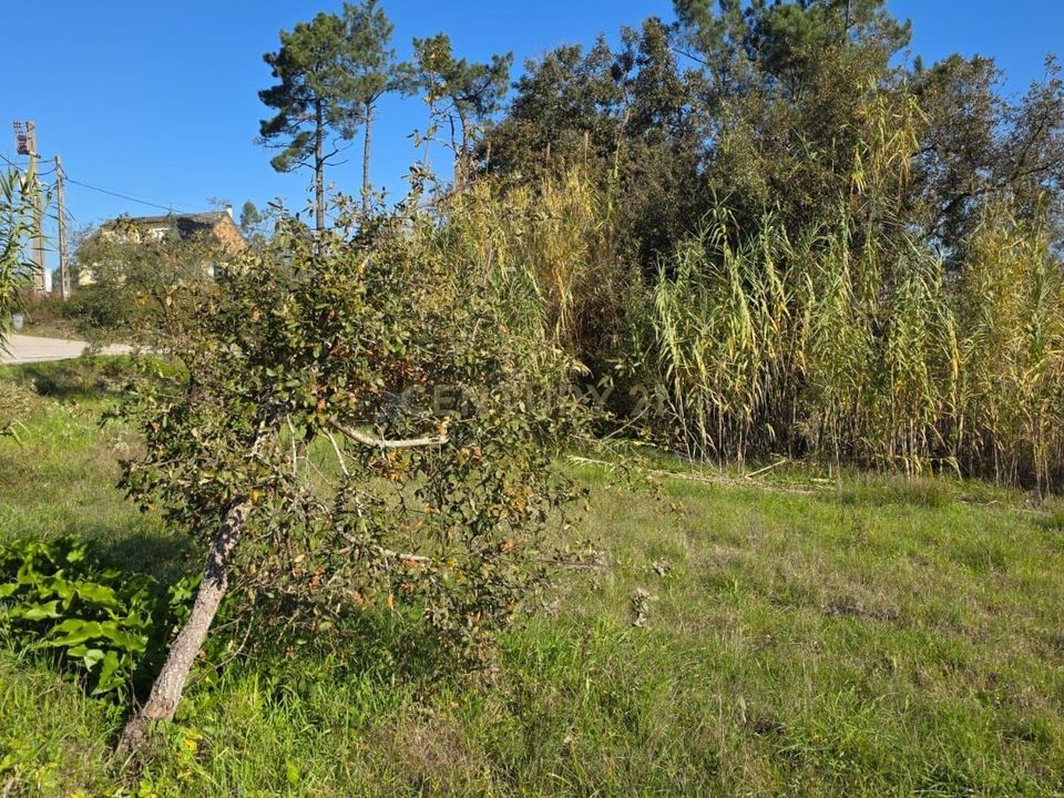 Helårsgrund i Soure, Coimbra - foto 1