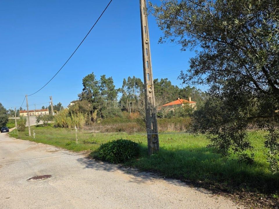 Helårsgrund i Soure, Coimbra - foto 5