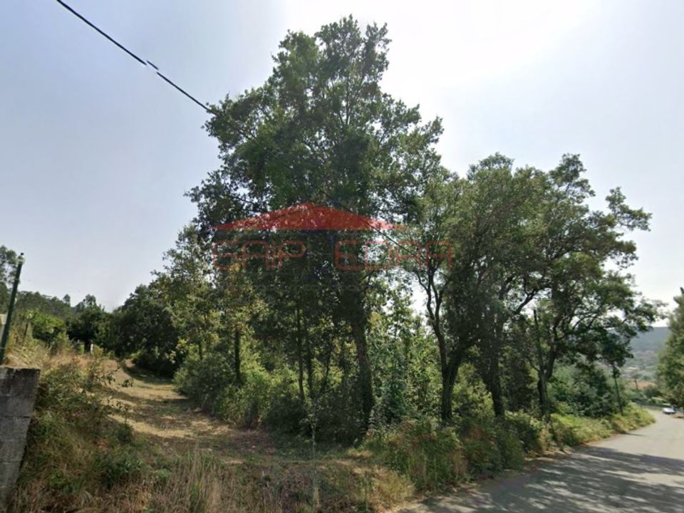 Helårsgrund i Oliveira de Azemeis, Aveiro - foto 4