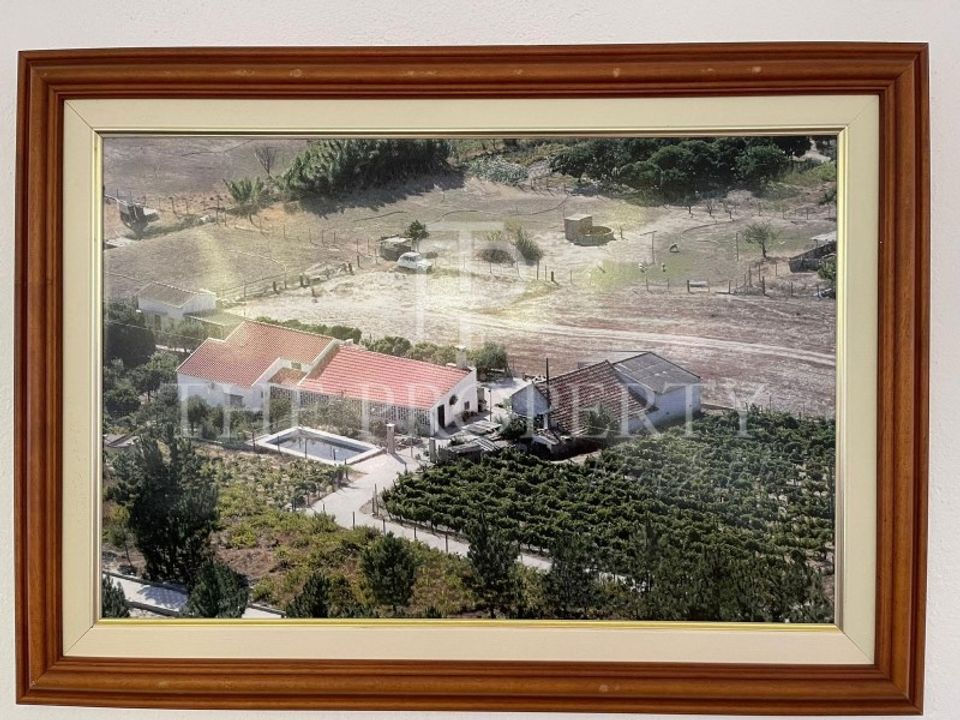 Farm i Azambuja, Lisbon - foto 3