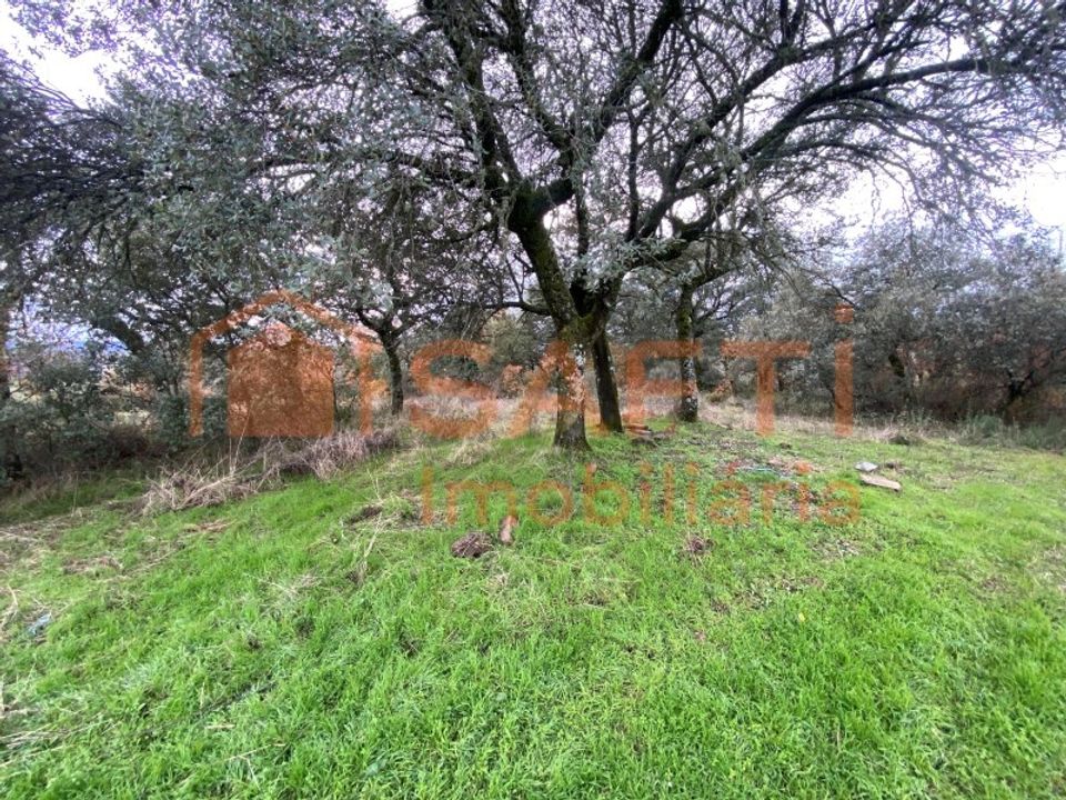 Helårsgrund i Macedo de Cavaleiros, Braganca - foto 3