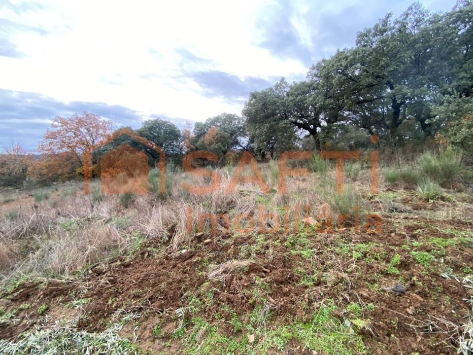 Helårsgrund i Macedo de Cavaleiros, Braganca - foto 4