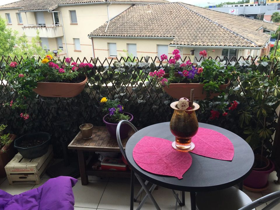 Lejlighed i Toulouse, Haute-Garonne - foto 1