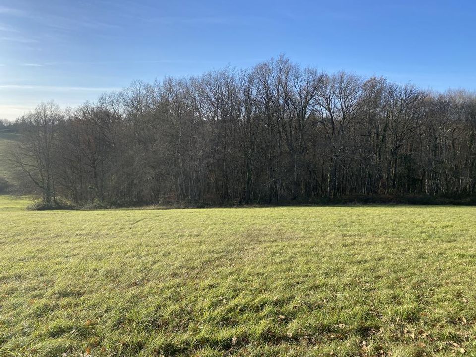 Terra a Sanilhac, Dordogne - foto 2