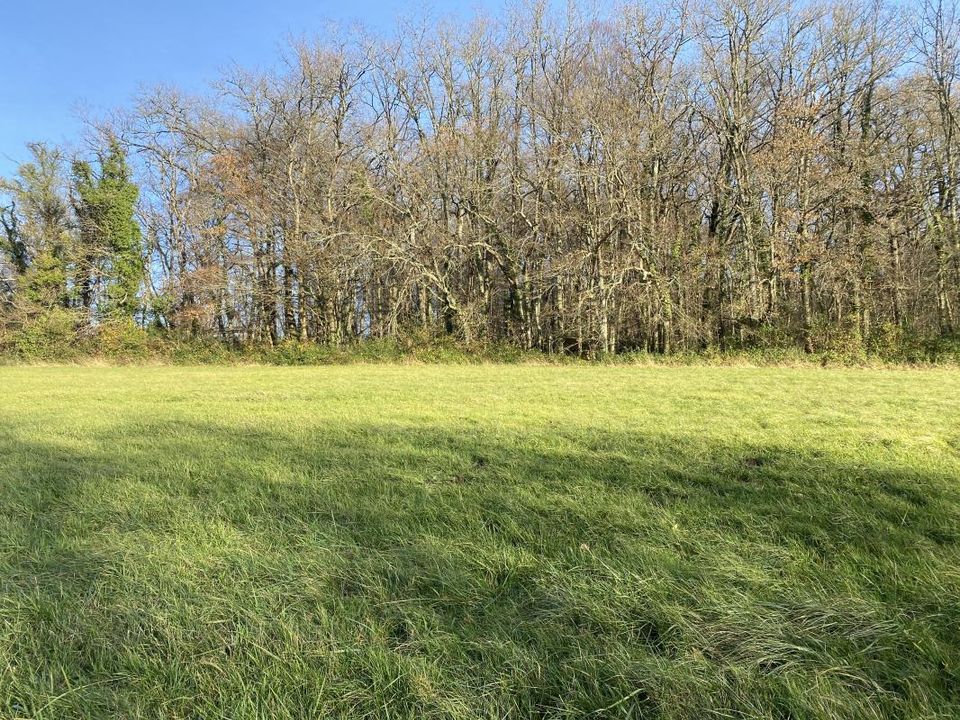 Terra a Sanilhac, Dordogne - foto 3