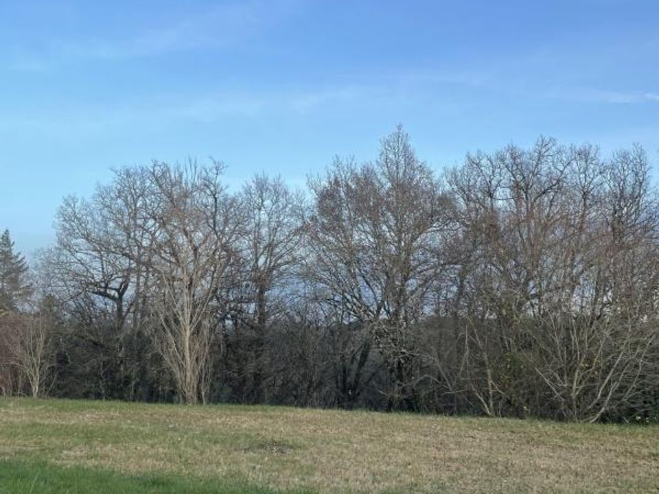 Terra a Rouffignac-Saint-Cernin-de-Reilhac, Dordogne - foto 1