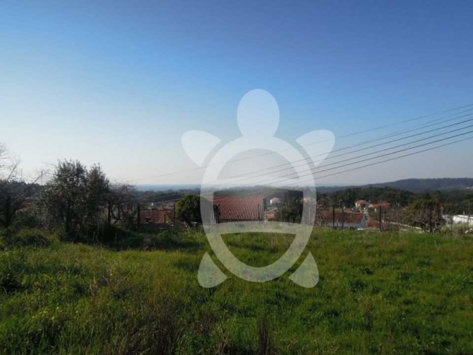 Helårsgrund i Figueira de Lorvao, Coimbra - foto 5