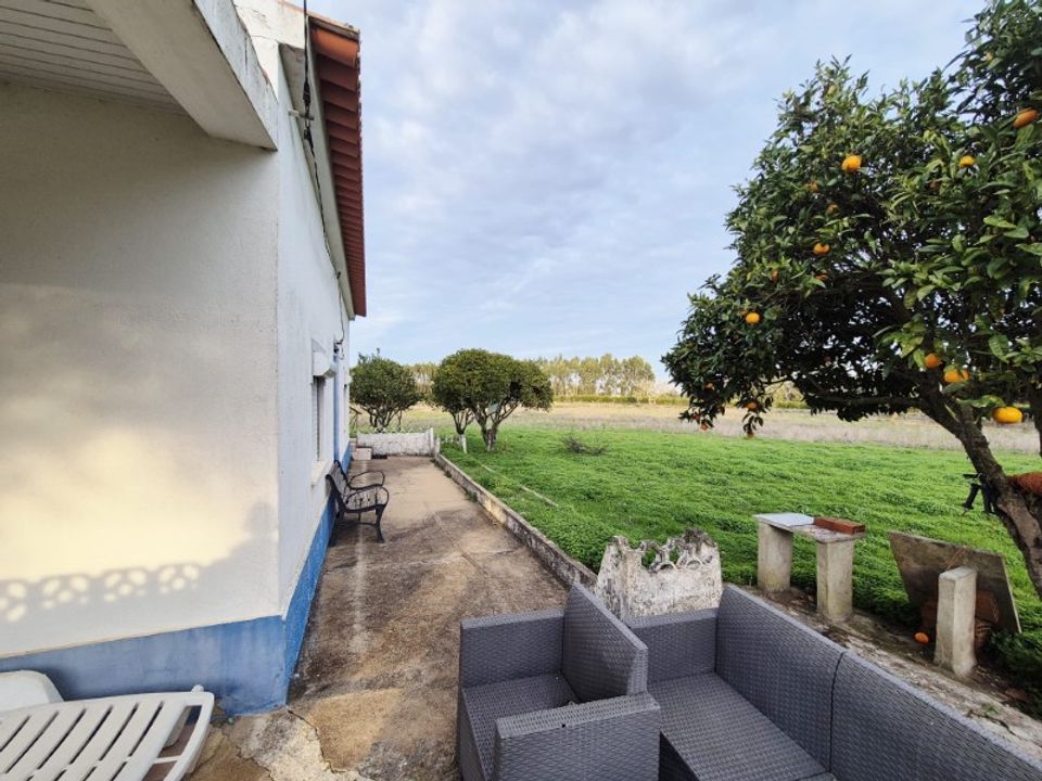 Gård i Cercal do Alentejo, Setubal - bilde 1