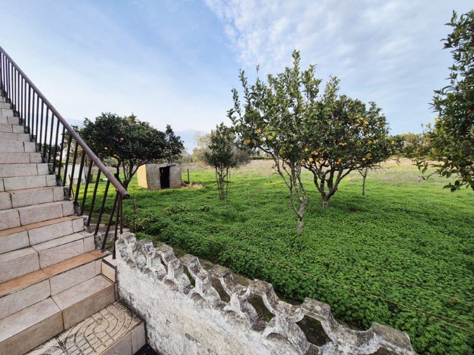 Gård i Cercal do Alentejo, Setubal - bilde 3